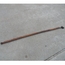 Shift Rod, 43 5/8